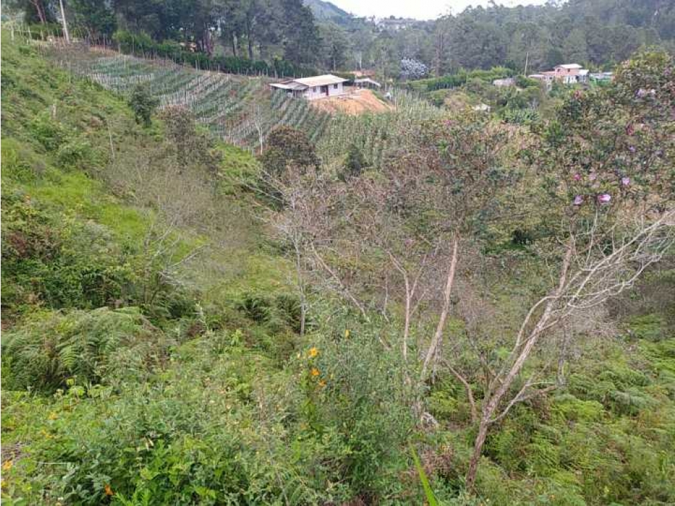 Vendo lote en Guarne Antioquia vereda Bellavista